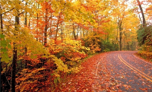 1597107540392526.png 2020秋天来了唯美心情说说句子