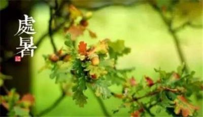 2020处暑节气快乐祝福语说说80句