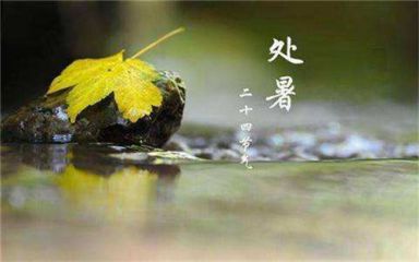 2020处暑节气给亲人的欢乐搞笑微信问候句子100条