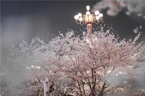 1597142999537293.jpg 2020中秋节的经典诗词名句精选篇