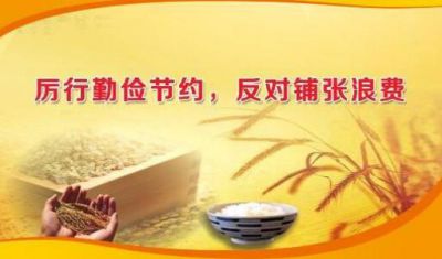 2020厉行节约反对浪费重要论述摘编读后感5篇