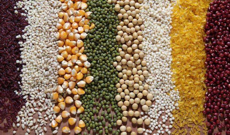 1597229604368978.jpg 提倡“厉行节约、反对浪费”的句子