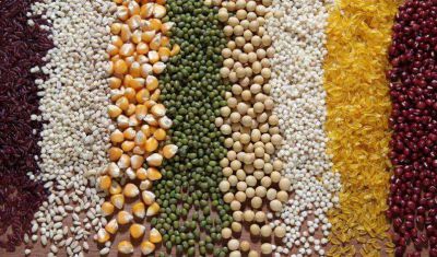 提倡“厉行节约、反对浪费”的句子