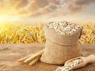 2020年提倡“厉行节约、反对浪费”的句子