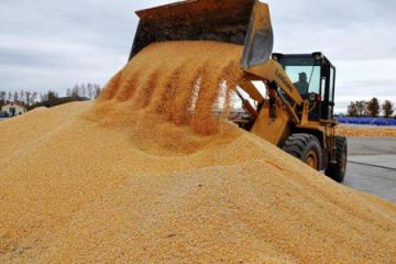 提倡“厉行节约、反对浪费”的心得2020年