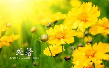 2020处暑送给朋友的祝福语精选80句