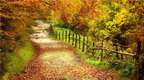 1597283361379455.jpg timg (7).jpg