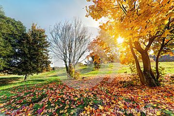 关于秋天句子说说大全