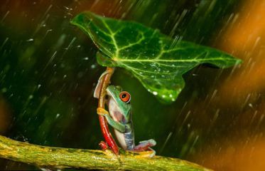 适合下雨天发的朋友圈大全