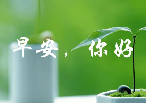 1597286057598678.jpg 最好的微信早安问候