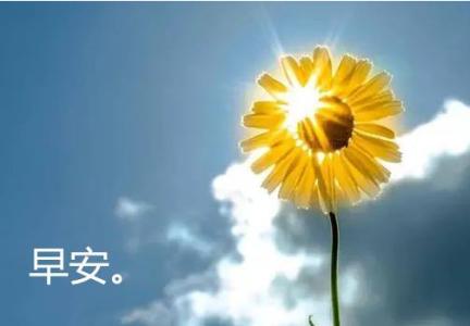 1597286379684739.jpg 1597286379684739.jpg