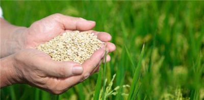 “厉行节约反对浪费”宣传标语80句口号大全