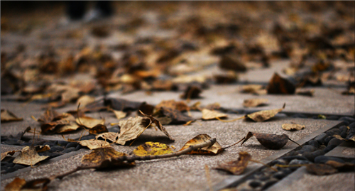 1597311864913899.png 微信图片_20191028100406.png