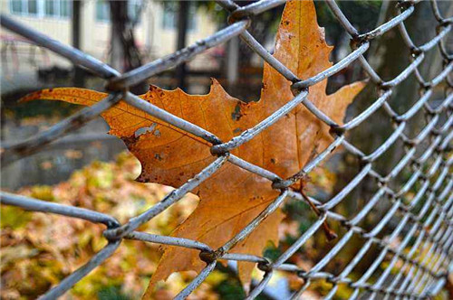 1597370027165446.jpg timg (8).jpg