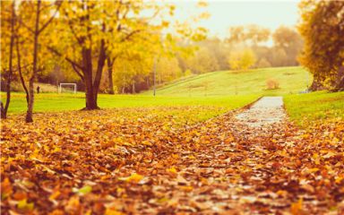 关于秋天经典优美句子大全