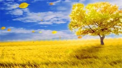 2020秋天美好经典句子大全