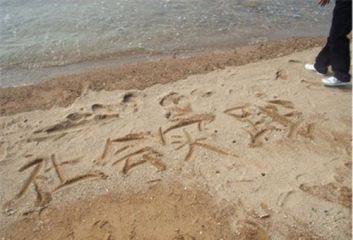 2020大学生三下乡活动社会实践报告格式范文