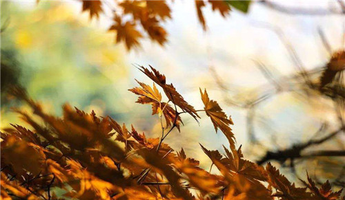 1597736607196551.jpg 1c762522360bd10c0440596e729de132.jpg