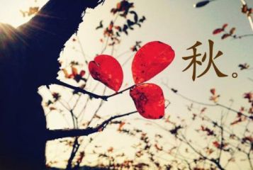 关于秋天的朋友圈文案大全