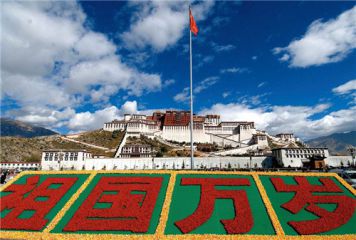 2020爱国心报国情强国志征文作文800字5篇最新