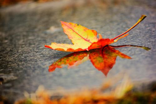 1597826822812978.jpg 33ba40dce2b8e2c163ed3b9fff5f214c.jpg