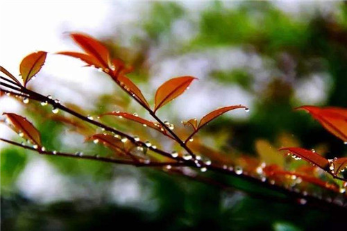 1597827188301927.jpg 50559f33adaeb100bfd5d8634e2f3c2d.jpg