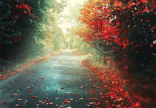 1597827326171389.jpg 17a94dbca6c38c51f35d12cc31b81b01.jpg