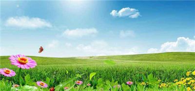 处暑节气祝福语说说精选80句