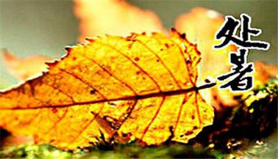 处暑节气短信祝福句子大全2020