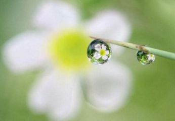 白露节气祝福语短信2020