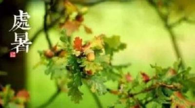 处暑节气短信问候语2020