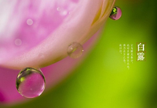 1597998237791969.jpg 360截图20200820152628710.jpg