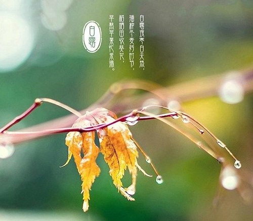 1597998248221491.jpg 360截图20200820152743313.jpg