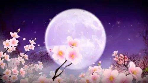 1598241562654539.jpg 月亮1.jpg