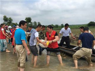 2020年抗洪救灾作文素材精选5篇