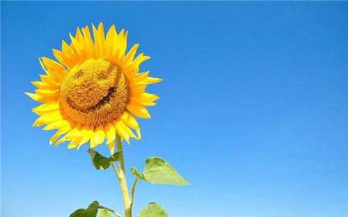 国庆朋友圈微信祝福说说句子大全