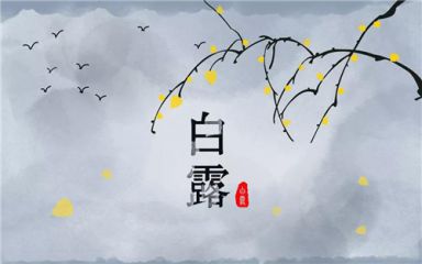 2020白露二十四节气最新谚语说说