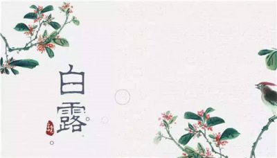 2020白露时节最佳养生食物介绍精选五篇