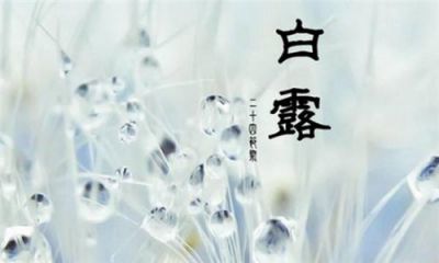2020二十四节气白露最新祝福寄语