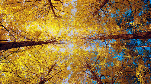 1598347936136483.jpg 2e3972c330a9479082e3adf3d3ba6a10_th.jpg