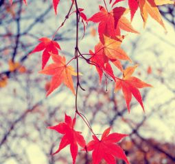 2020最新早安心语简单一句话精选