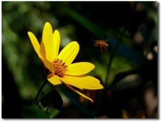 2020形容九月开学季的句子80句_关于开学句子精选80句大全