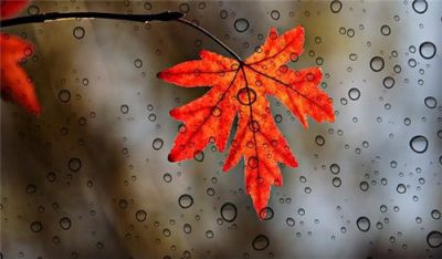 微信早安语录正能量满满2020