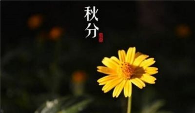 2020最新秋分季节养生食谱介绍精选五篇