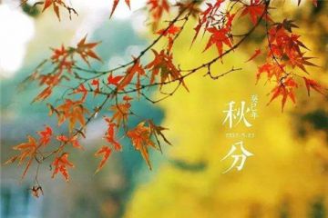 2020二十四节气秋分最新养生攻略精选五篇