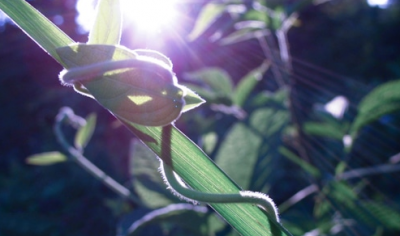 2021九月已过十月你好心情说说80句