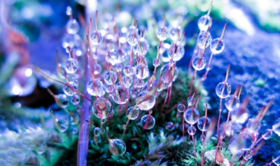 告别九月迎接十月感慨朋友圈说说2020