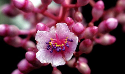 1599100038581919.png 唯美5.png