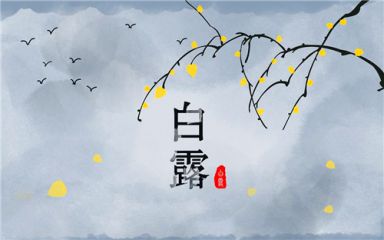 2020给小孩过白露节气祝福语