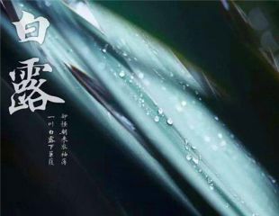 2020白露节气早安祝福语短信问候